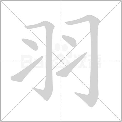 羽的五行|羽（汉语文字）